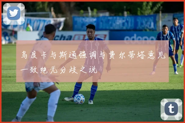 乌度卡与斯通强调与费尔蒂塔意见一致绝无分歧之说
