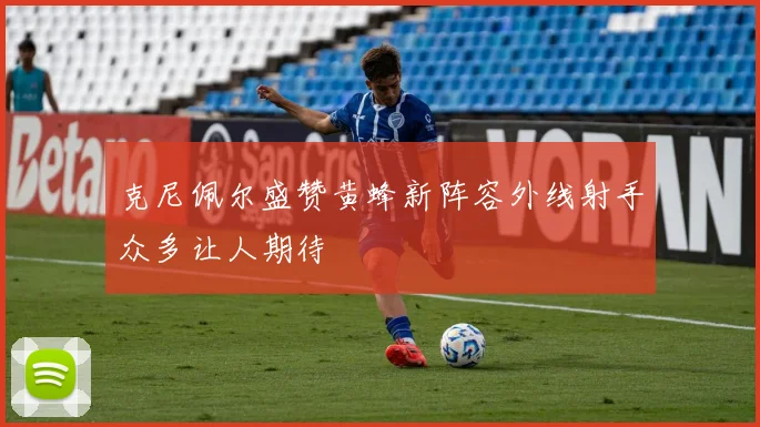 克尼佩尔盛赞黄蜂新阵容外线射手众多让人期待